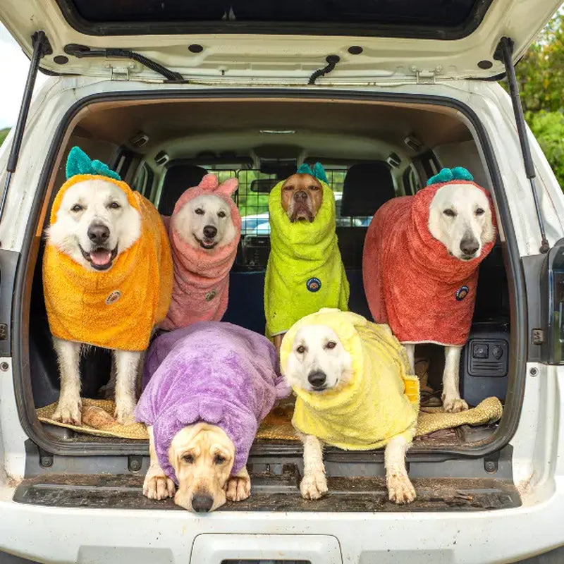 DERPY CHAPPY Premium Dog Towel Robe & Bathrobe │ for Drying Dogs after Baths, Swims & Rainy Walks │ Add to Cart Buy Now Microfiber Dog Bath Towel Robe │ Ultra‑Absorbent, Fast‑Drying & Adjustable Extra‑Warm Coat │ Made in Korea